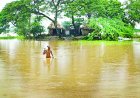 ଦଶରଥପୁର ବ୍ଲକରେ ବ୍ୟାପକ କ୍ଷୟକ୍ଷତି