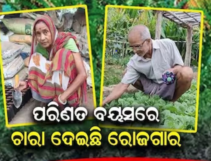ପରିଣତ ବୟସରେ ନିଆରା ନିଶା, ଚାରା ବିକ୍ରି କରି ହୋଇଛନ୍ତି ସ୍ବାବଲମ୍ବୀ