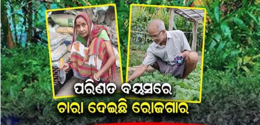 ପରିଣତ ବୟସରେ ନିଆରା ନିଶା, ଚାରା ବିକ୍ରି କରି ହୋଇଛନ୍ତି ସ୍ବାବଲମ୍ବୀ