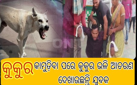 କୁକୁର କାମୁଡ଼ିବା ପରେ କୁକୁର ଭଳି ଆଚରଣ ଦେଖାଉଛନ୍ତି ଯୁବକ ।