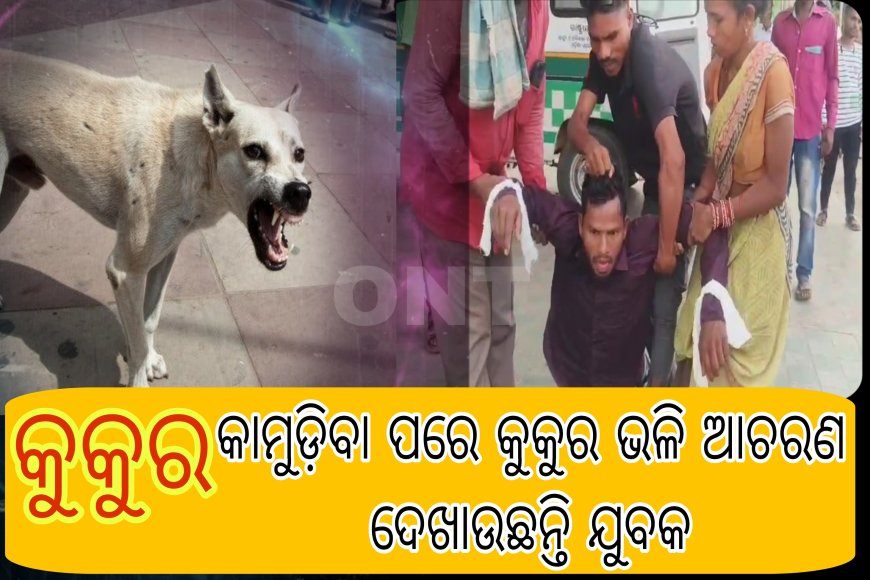 କୁକୁର କାମୁଡ଼ିବା ପରେ କୁକୁର ଭଳି ଆଚରଣ ଦେଖାଉଛନ୍ତି ଯୁବକ ।