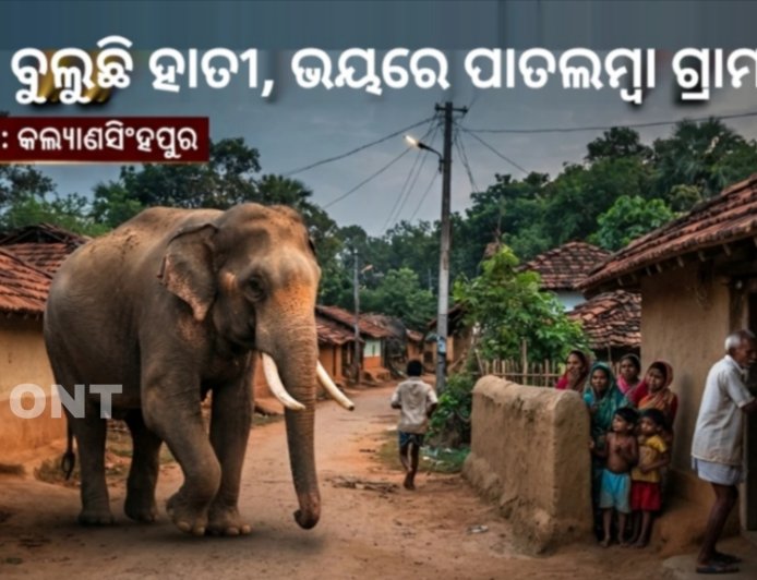 ଗାଁରେ ବୁଲୁଛି ହାତୀ, ଭୟରେ ପାତଲମ୍ବା ଗ୍ରାମବାସୀ ।