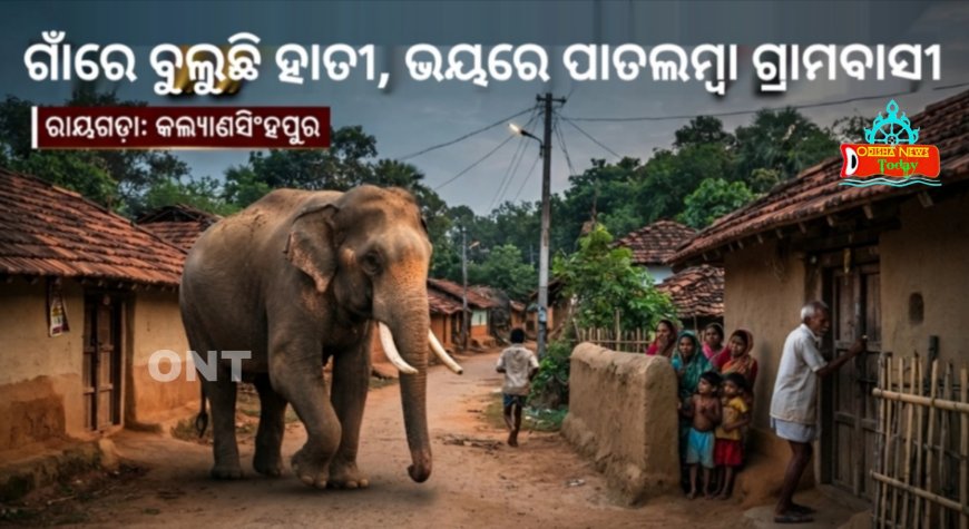 ଗାଁରେ ବୁଲୁଛି ହାତୀ, ଭୟରେ ପାତଲମ୍ବା ଗ୍ରାମବାସୀ ।