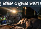 ଟ୍ରେନ୍‌ ଇଞ୍ଜିନ ଧକ୍କାରେ ହାତୀ ମୃତ୍ୟୁ ।