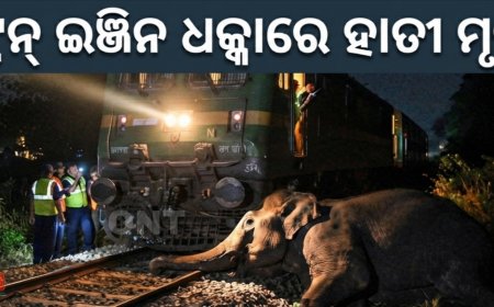ଟ୍ରେନ୍‌ ଇଞ୍ଜିନ ଧକ୍କାରେ ହାତୀ ମୃତ୍ୟୁ ।