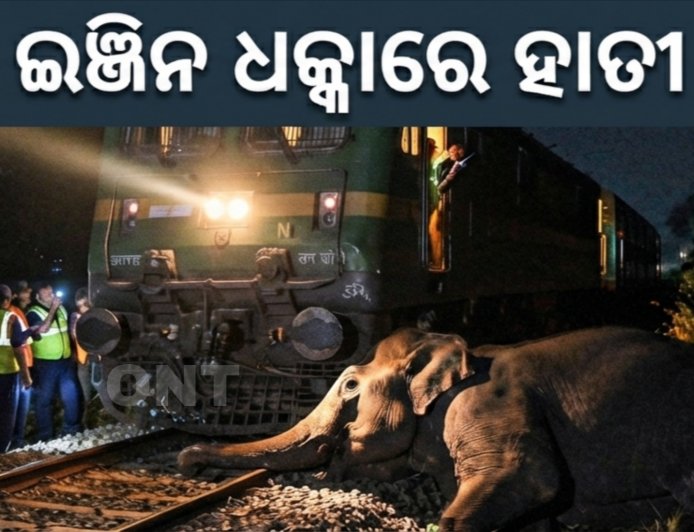 ଟ୍ରେନ୍‌ ଇଞ୍ଜିନ ଧକ୍କାରେ ହାତୀ ମୃତ୍ୟୁ ।