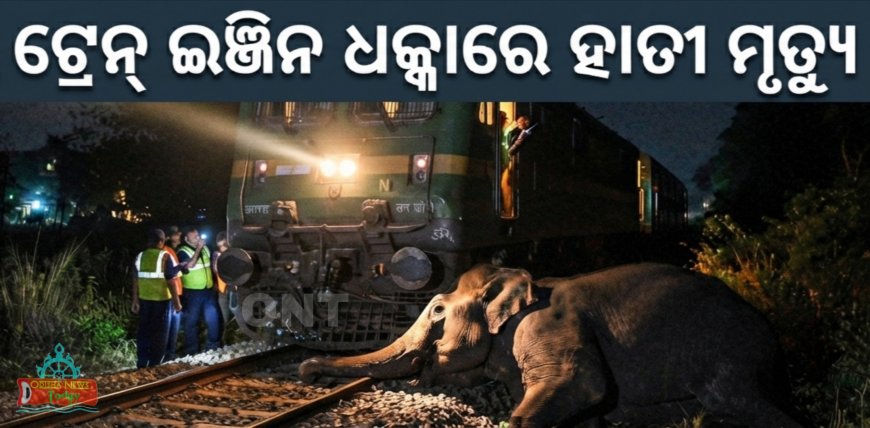 ଟ୍ରେନ୍‌ ଇଞ୍ଜିନ ଧକ୍କାରେ ହାତୀ ମୃତ୍ୟୁ ।